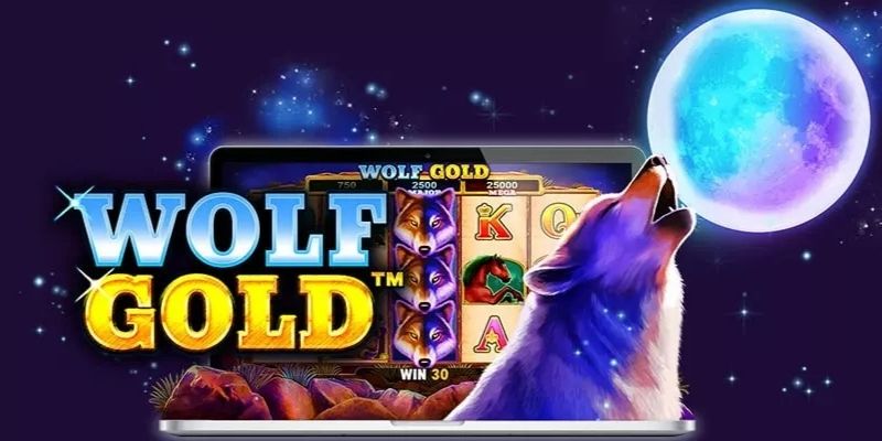 Hướng dẫn tham gia nổ hũ Wolf Gold