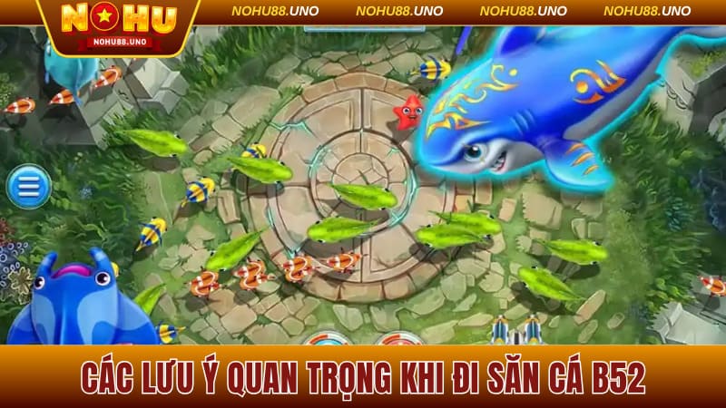 Các lưu ý quan trọng khi đi săn cá B52