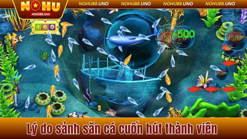 Lý do sảnh săn cá cuốn hút thành viên 
