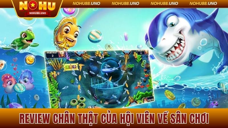 Review chân thật của hội viên về sân chơi